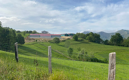 REHAU queseria Asturias