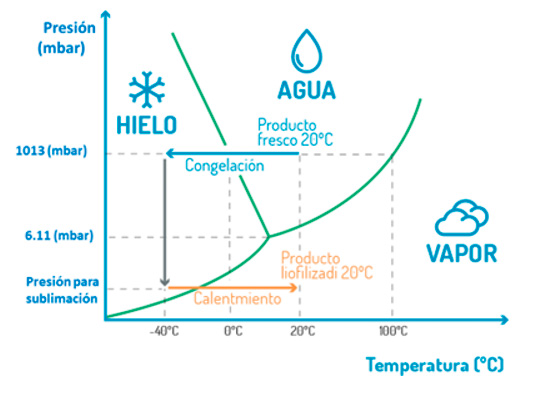 temperatura presion