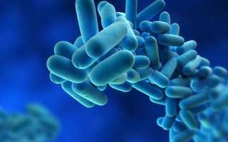 Legionella-imagen-anecpla