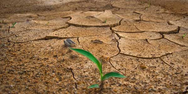 Cambio-climático