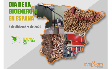 Día de la Bioenergía en España