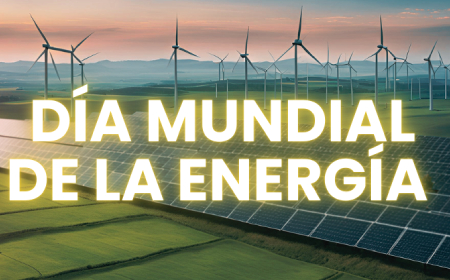 dia mundial energia renovables