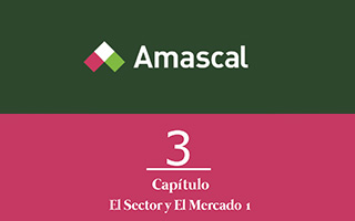 Píldoras Formativas Amascal: capítulo 3