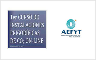 Plataforma online de aefyt