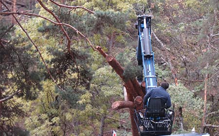 AVEBIOM se une al Foro de Bosques y Cambio Climático 