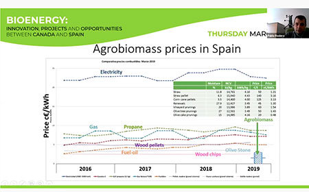 Datos del workshop sobre bioenergía entre España y Canadá