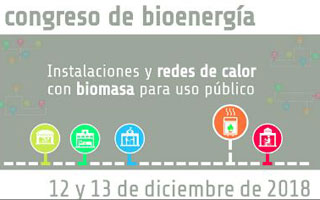 Congreso bioenergia 2019