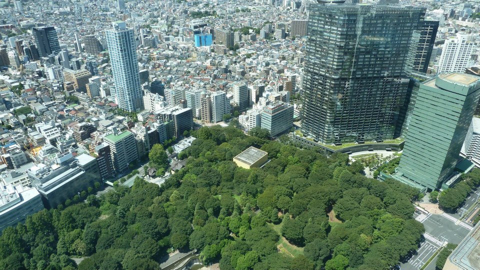 Medio ambiente y construcción