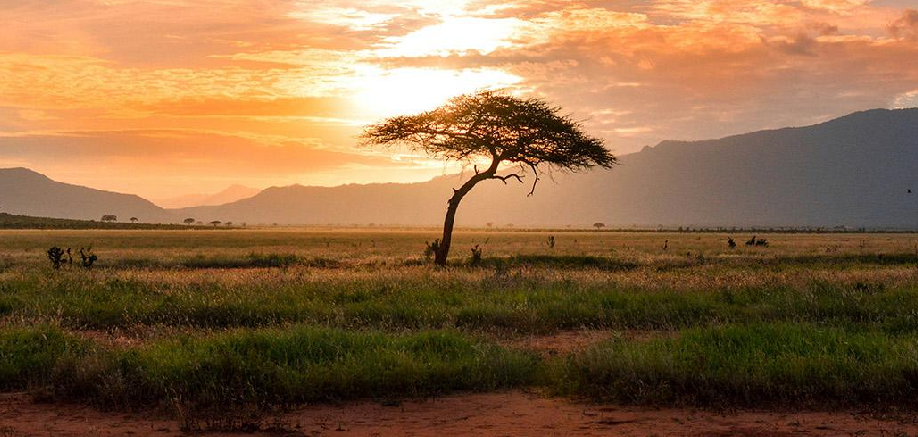 Protección medio ambiente desarrollo sostenible