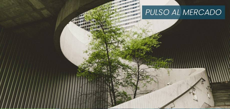 pulso mercado construccion circular