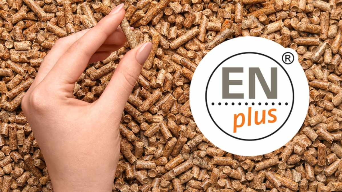 espana top 5 pellet enplus