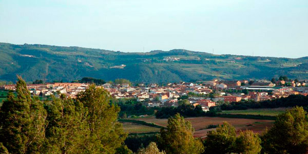 Biomasa-forestal-energía-térmica