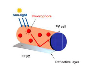 Esquema POF