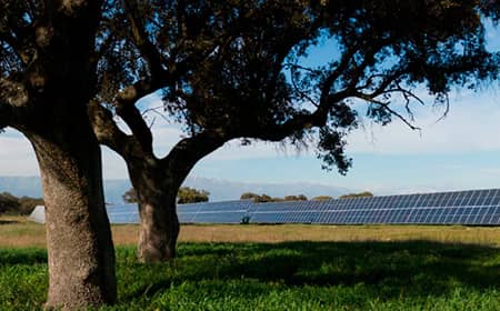 Guía de mejores prácticas para el desarrollo de plantas solares