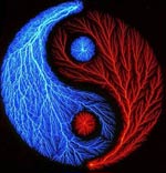 yin-yang