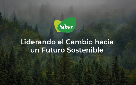 siber sostenibilidad plataforma