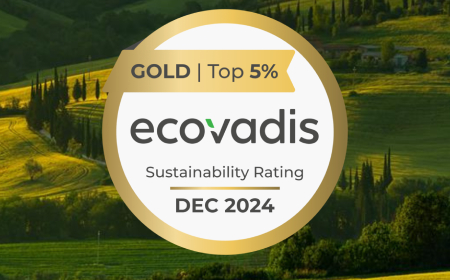 soler EcoVadis Gold