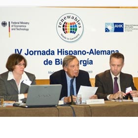 Jornada Hispano alemana biomasa